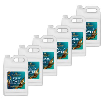 Liquid Seaweed 6 Pack (Gallon)