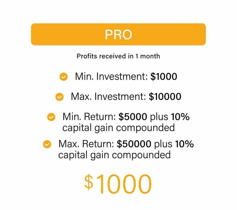 SMART PRO