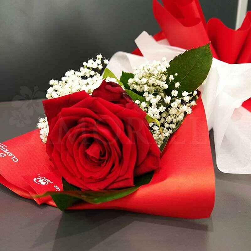 Rosa rossa