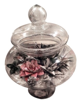 Terrarium piante grasse