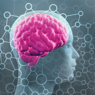 Brain &amp; Memory