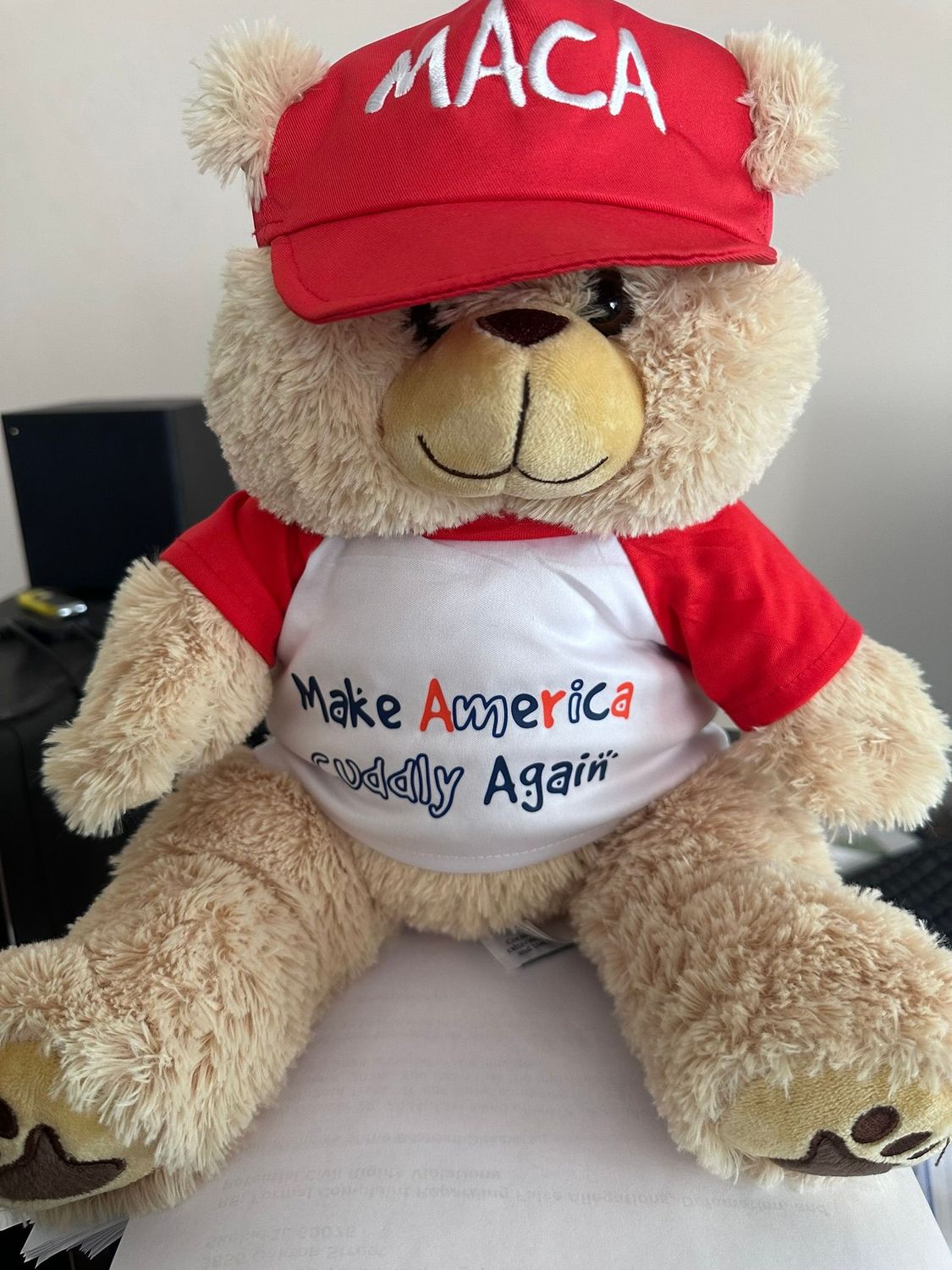 Make America Cuddly Again Bear