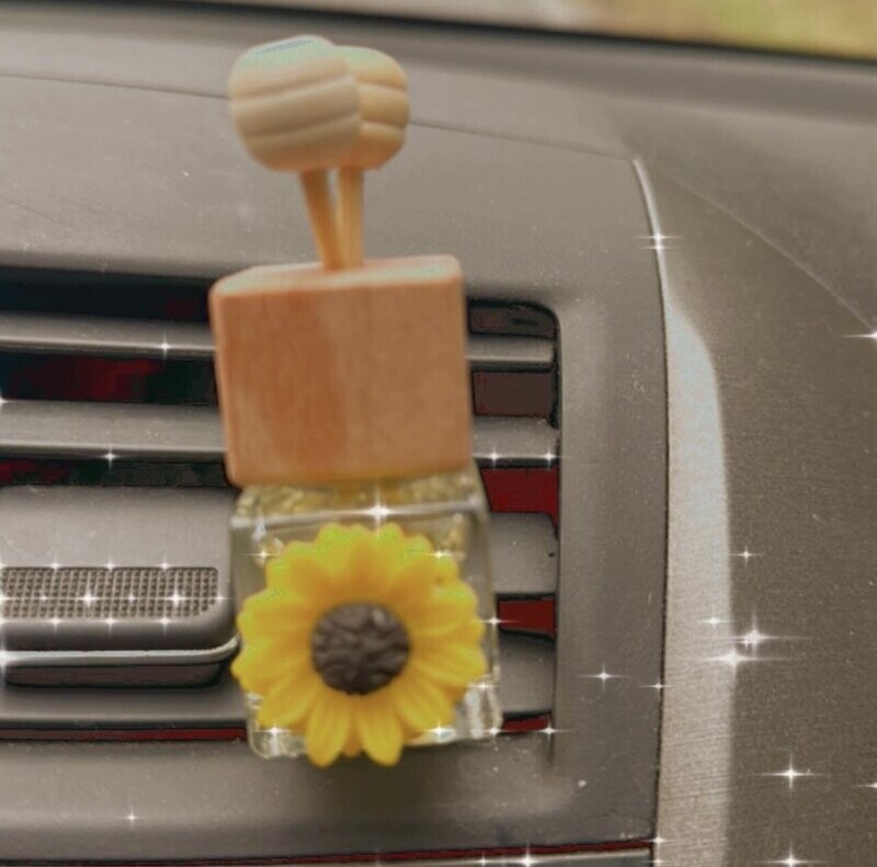 Vent Clip Car Diffuser