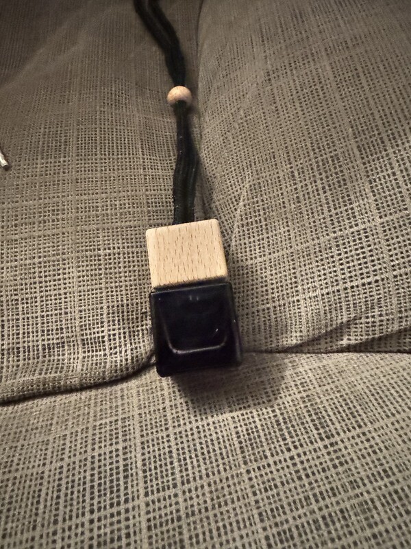 Black Hanging Car Diffuser