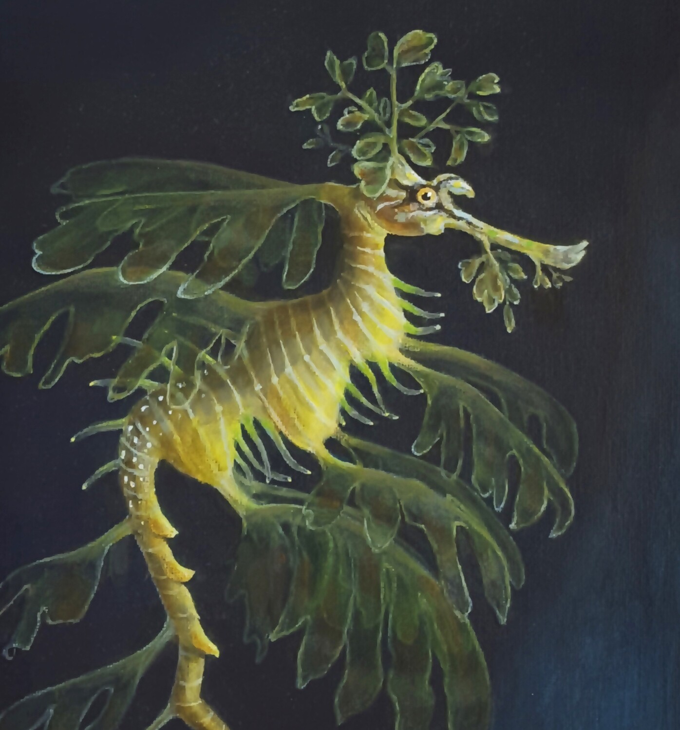 leafy sea dragon
SOLD
