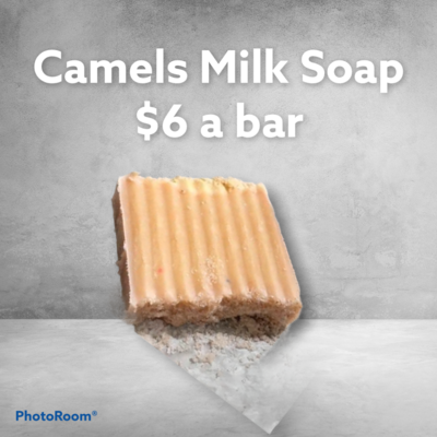 Camels Milk Soap