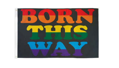 Born This Way Flag 3x5