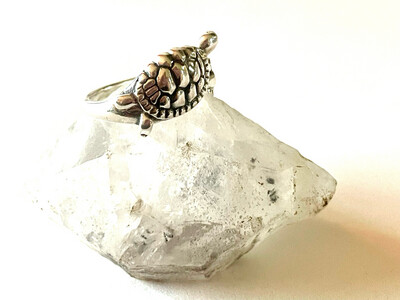 Terrapin Ring Style 2