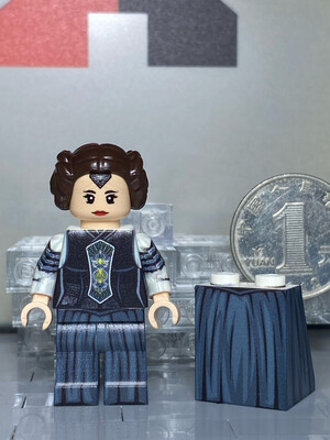 eastbrick custom minifig Star Wars Padmé Naberrie Amidala Member Clothing Version