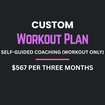 Custom Workout Plan – Self-Guided Coaching (3 months)