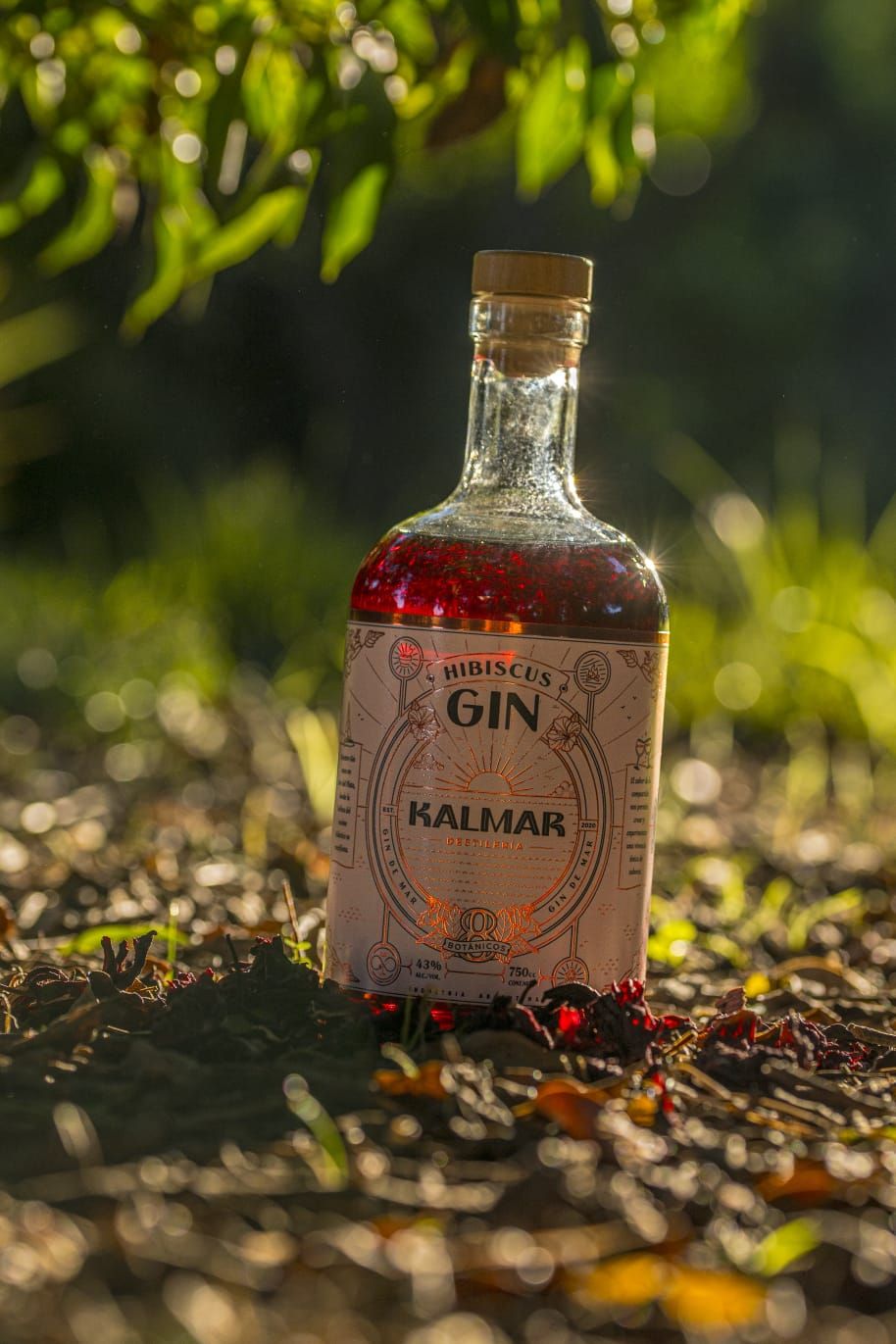 Gin Hibiscus 750 ML