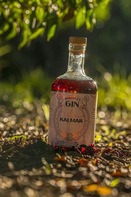 Gin Hibiscus 750 ML