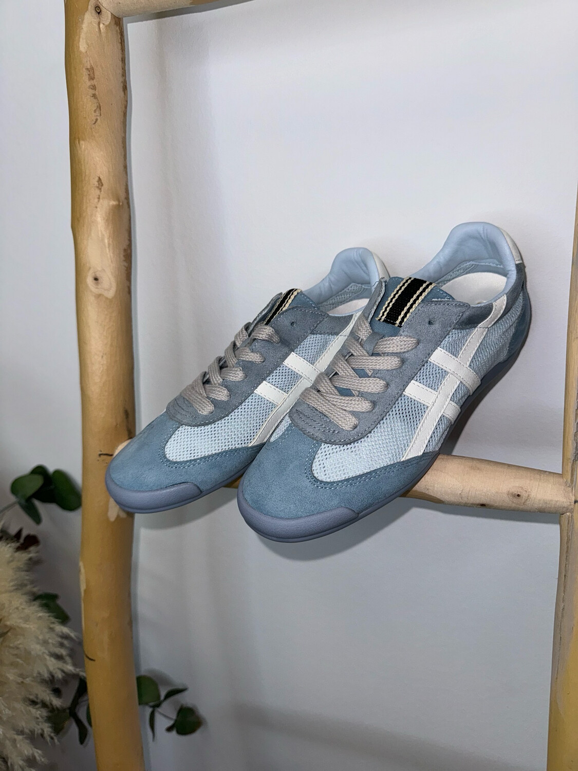 Zapas