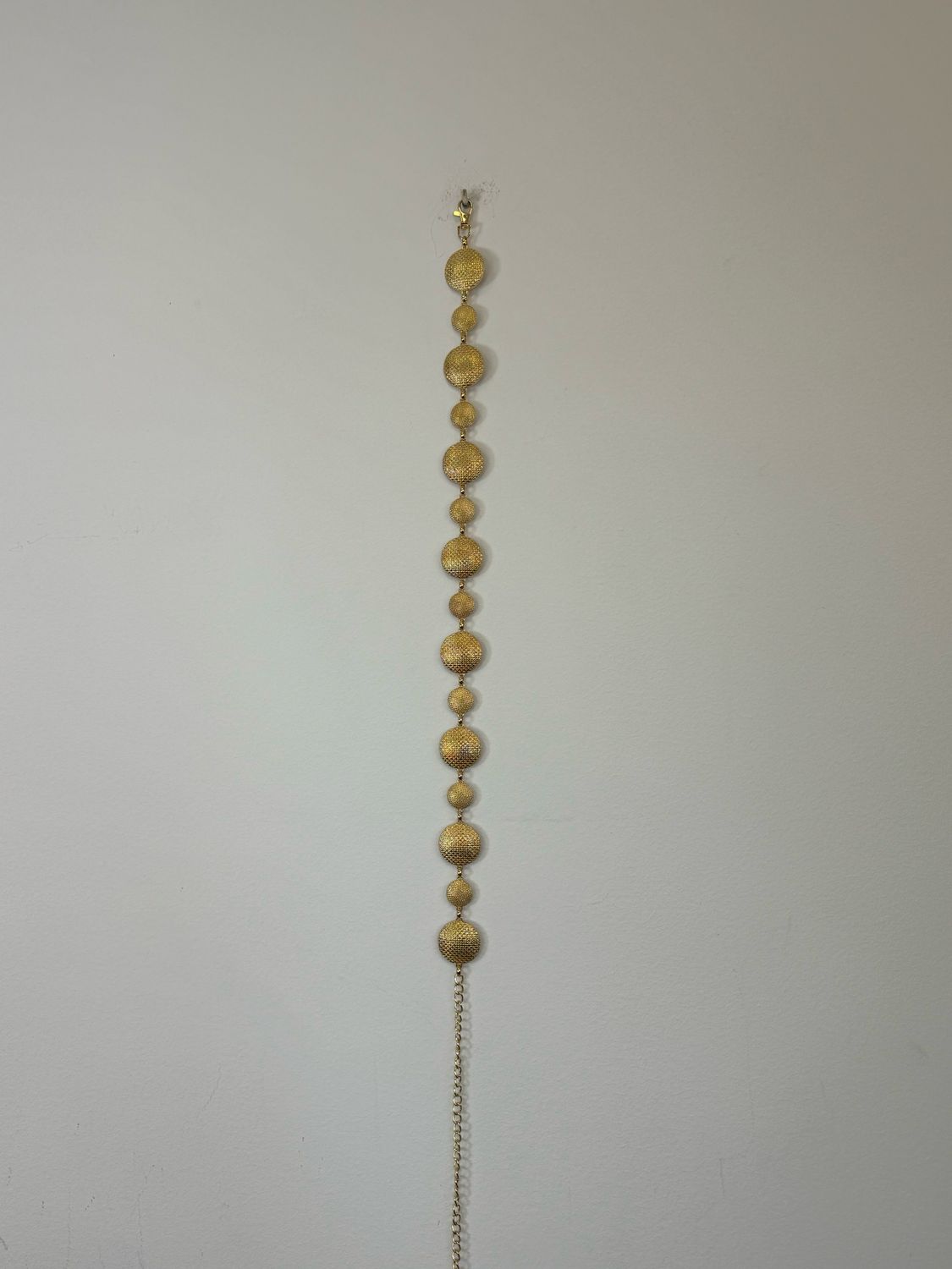Cinturón Monedas 