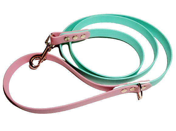 Mint and Pink Biothane 4ft Lead