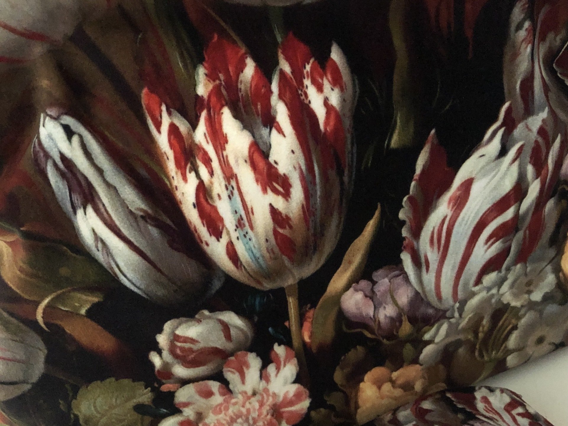 Velvet Washbag Tulips