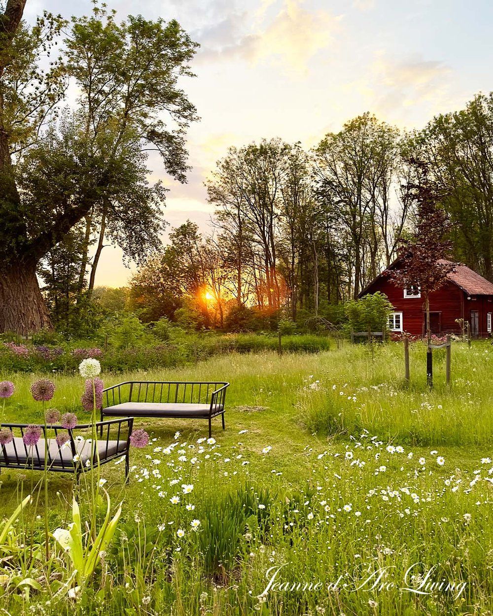 Jeanne d'Arc Living Magazine No.5 July 2025