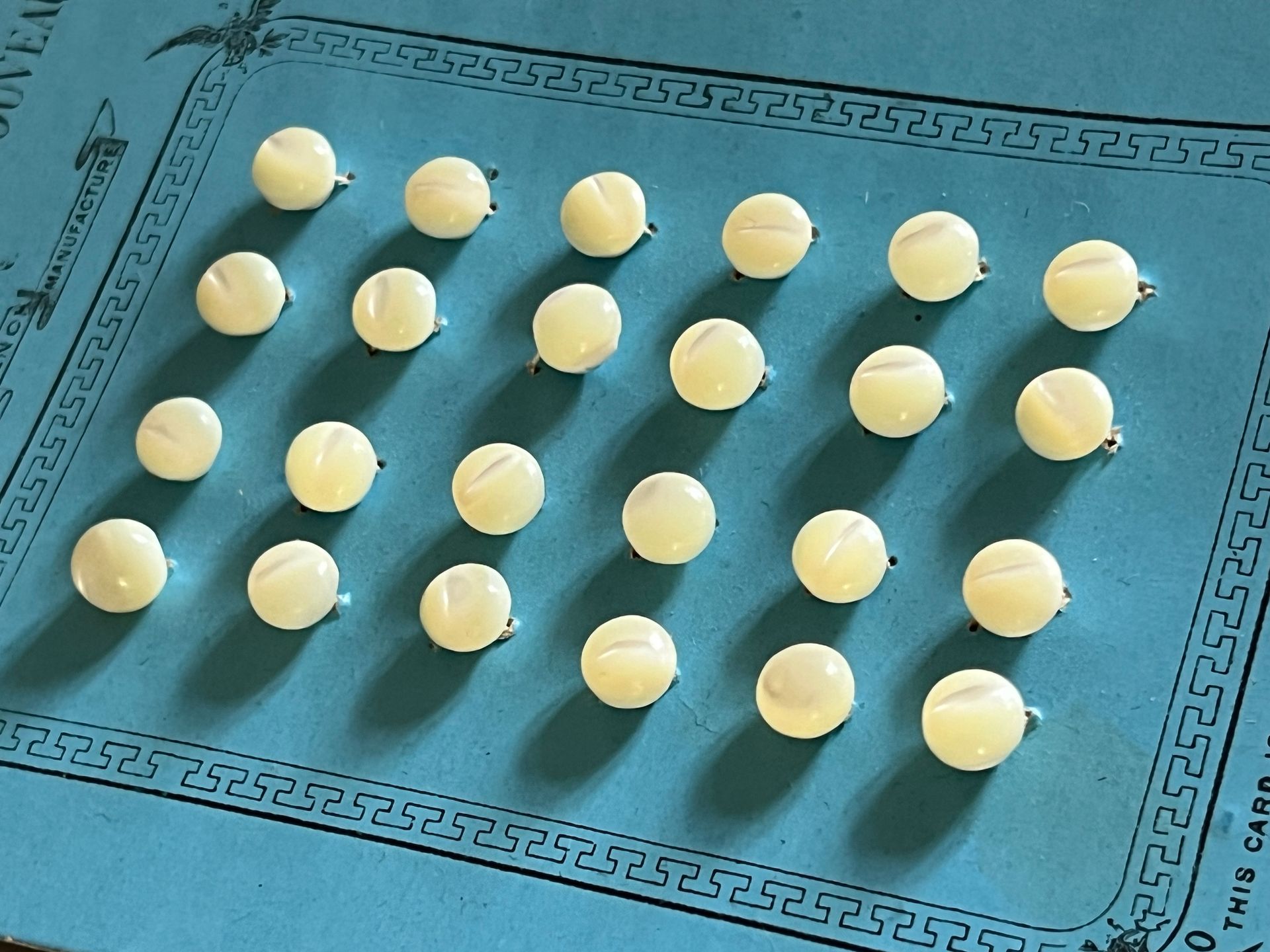 Early 20thc 24 x French Mother of Pearl Tiny Buttons on Original Card