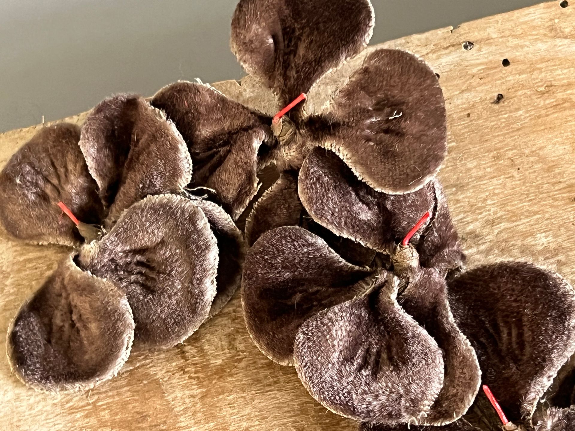 Early 20thc Velvet Millinery Flowers with Original Paris Label