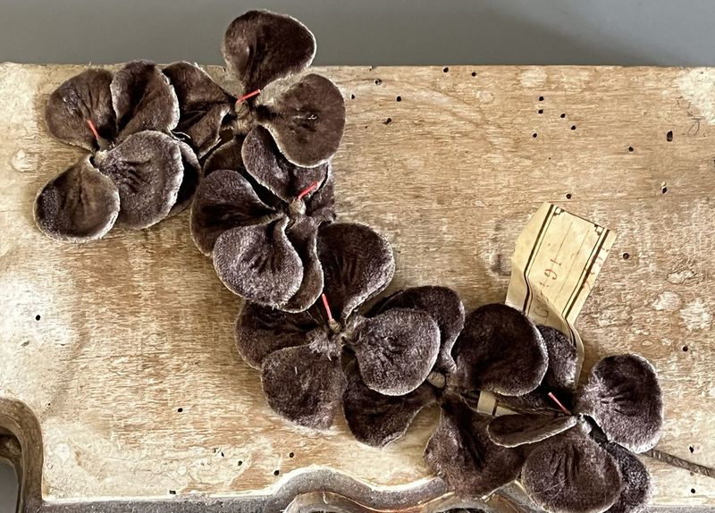Early 20thc Velvet Millinery Flowers with Original Paris Label
