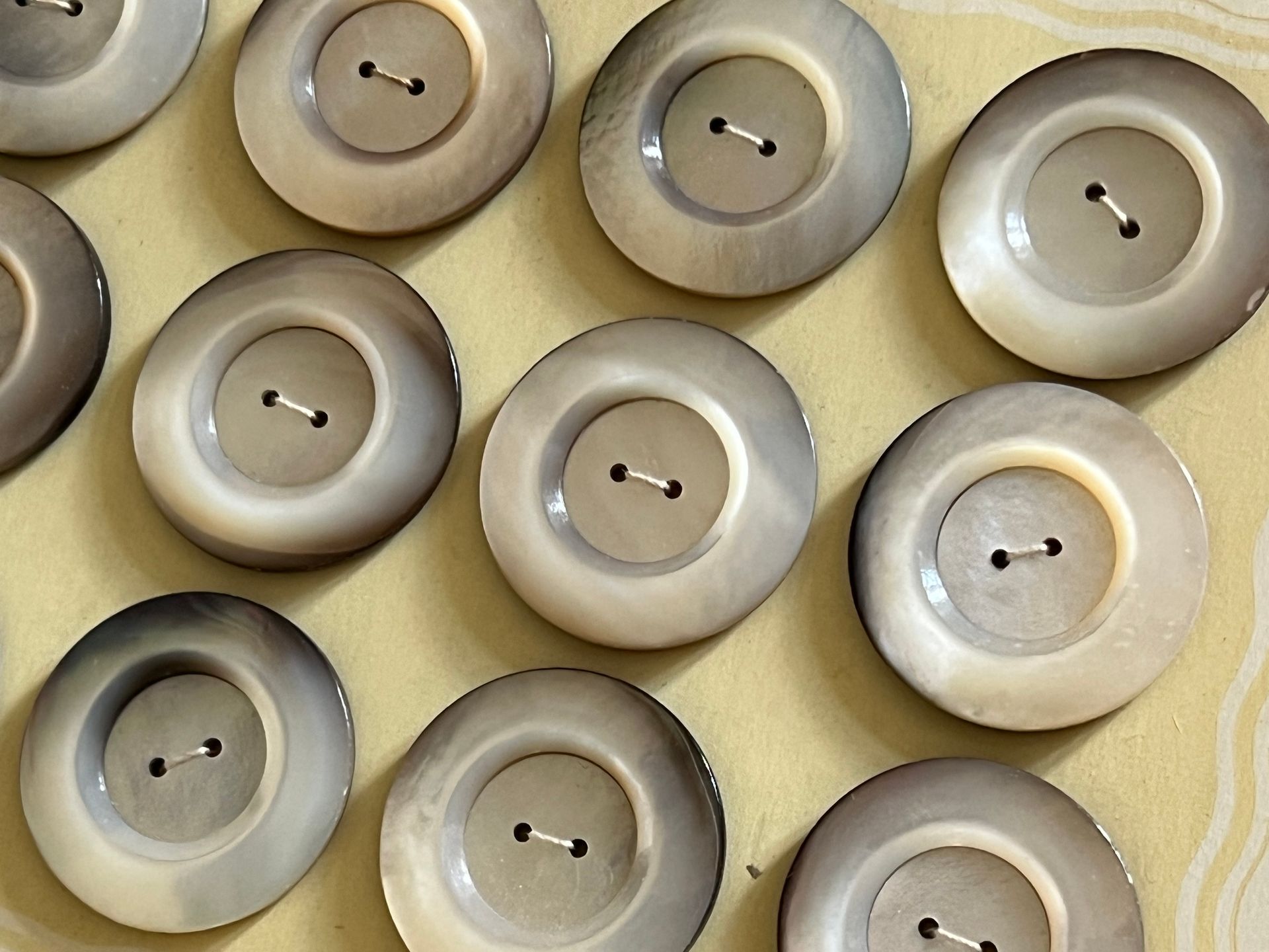 Early 20thc 12 x Large French Smoky Mother of Pearl Buttons on Original Card 3cm Diameter