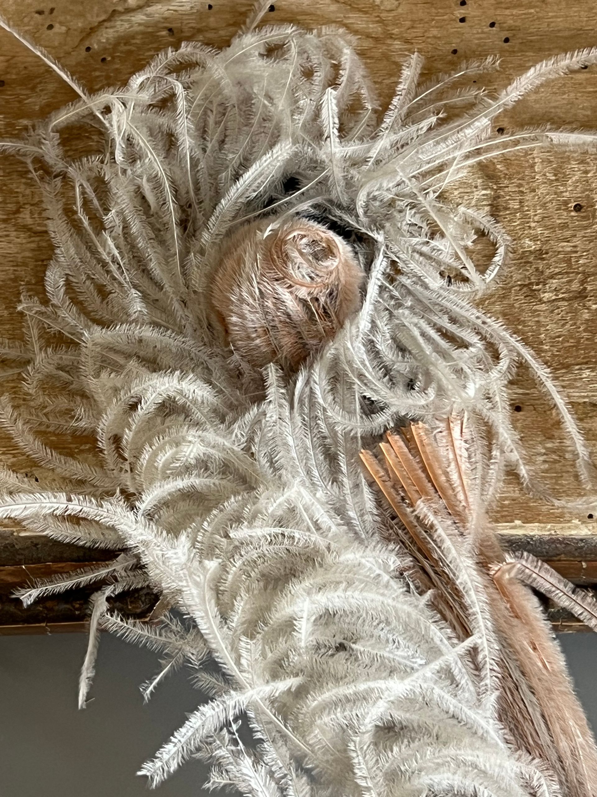 Original 1920's Feather Flapper Headband Adornment