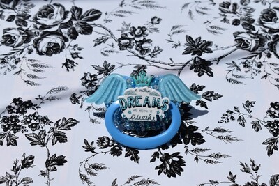 A Million Dreams Paci