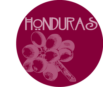 Honduras (organic, fair trade) 1Kg