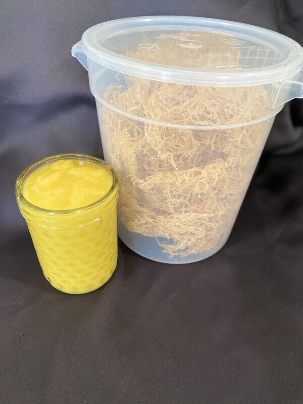 Mango Sea Moss Gel-16oz