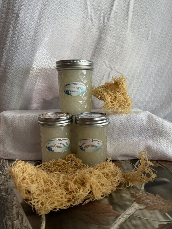 Plain Sea Moss Gel-16oz