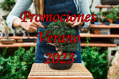 BONSAI 2023 DESDE LOS 10.000 EN ADELANTE