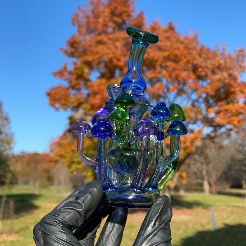 Timeless Artifact Shroomie