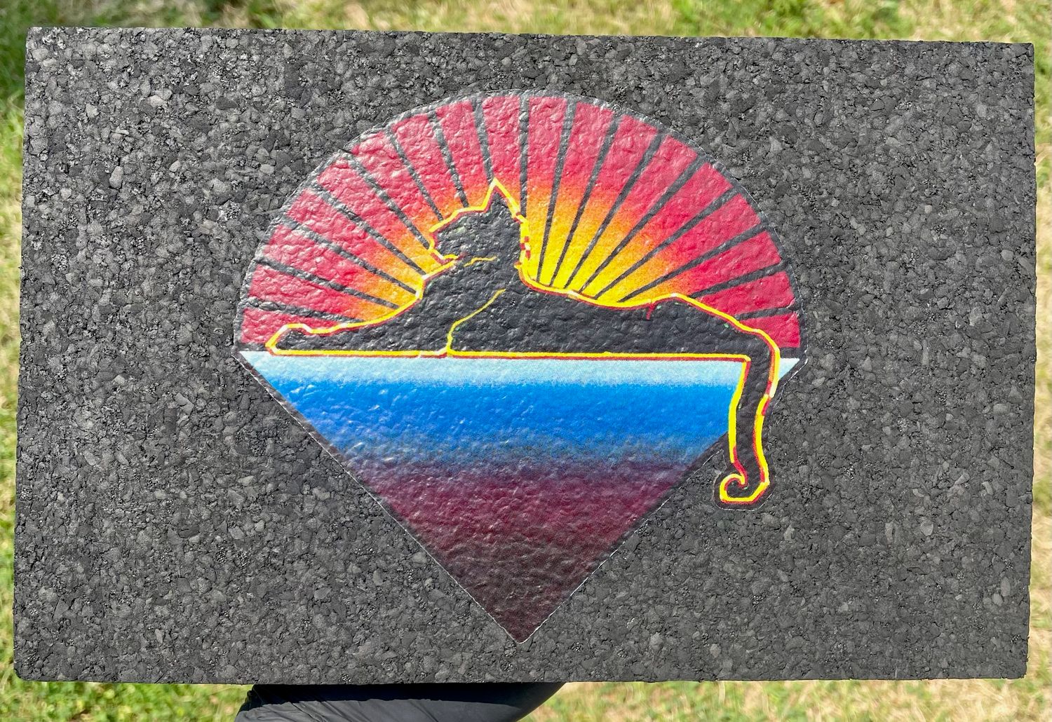 Cats under the stars