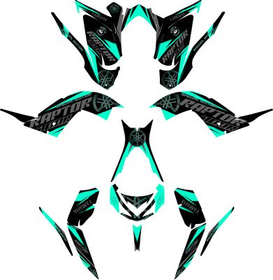 Rush 20 Raptor 700