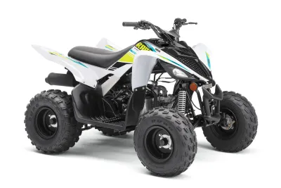 Custom Raptor 90 Graphics-Full kit