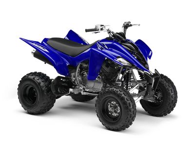 Custom Raptor 350 Full kit