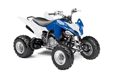 Custom Raptor 250 Graphics Full kit