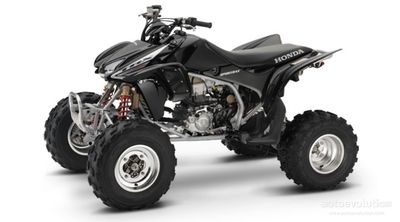 Custom TRX450 Graphics Full kit