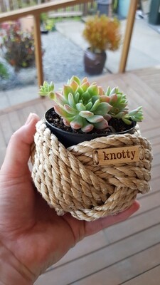 Mini Knot - Natural