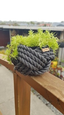 Medium Knot - Black