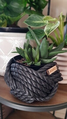 Small Knot - Black