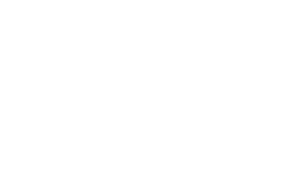 A1