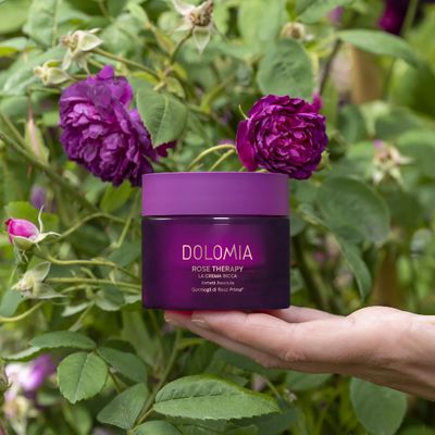 SKINCARE Rose Therapy Creme reichhaltige Textur
