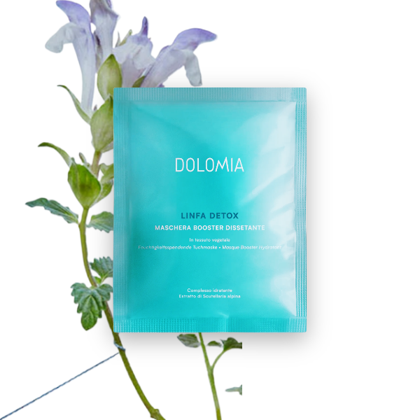 SKINCARE Linfa Detox Tuchmaske feuchtigkeitsspendend