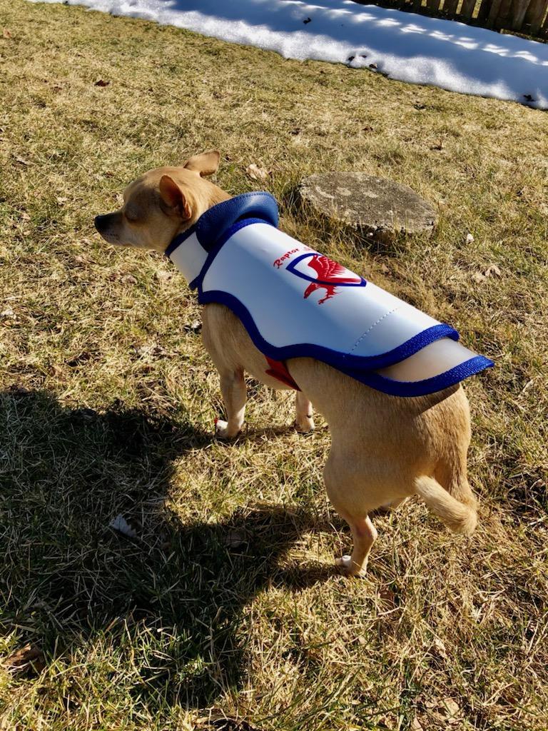 Raptor Shield Inc. - Protective Vests For Your Dogs