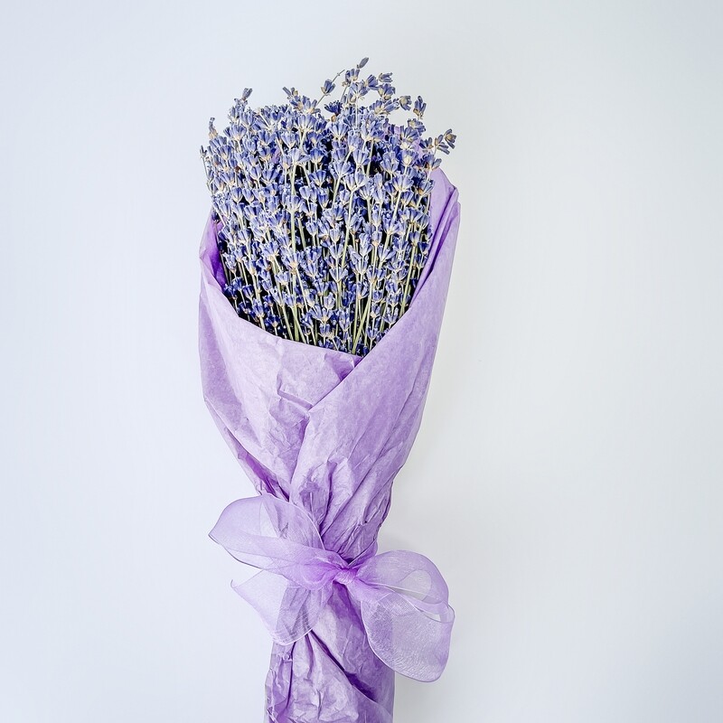 Dry Farm Lavender Bundle