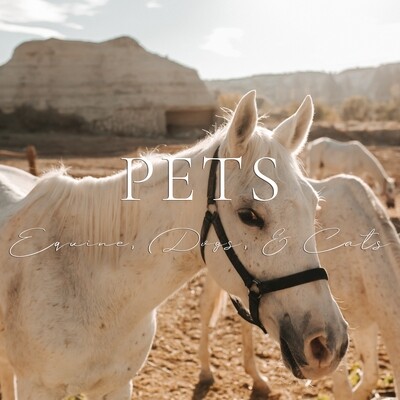 Pets