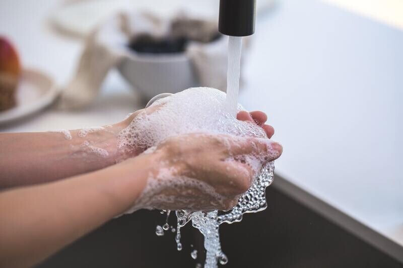 Coconut Lime Verbena Lavender Liquid Hand Soap