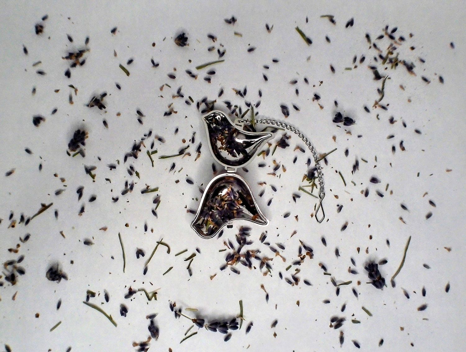 Single Cup Stainless Steel Bird Tea Infuser with Chain Single Cup Stainless Steel Bird Tea Infuser with Chain