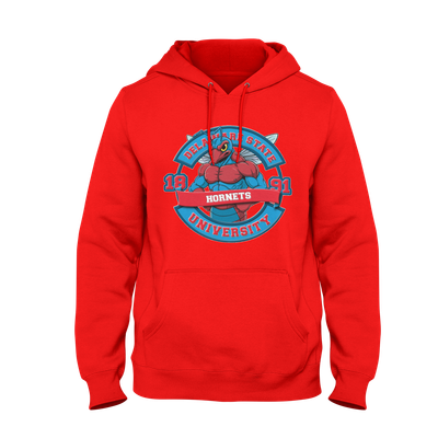 Delaware State Mighty Hornets Hoodie